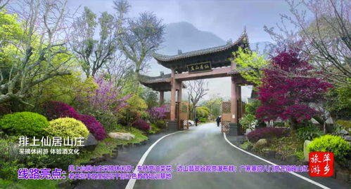 2020年萍鄉(xiāng)市鄉(xiāng)村旅游精品線路發(fā)布