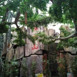 御景生態(tài)園酒店電話,地址,營業(yè)時(shí)間 泰安美食