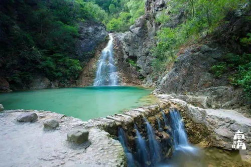 破局出圈，是每個人都該有的勇氣——九龍?zhí)渡鷳B(tài)園啟示錄