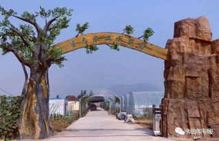 東平碩士生王士明的電商創(chuàng)業(yè)路 九龍?zhí)渡鷳B(tài)園的故事