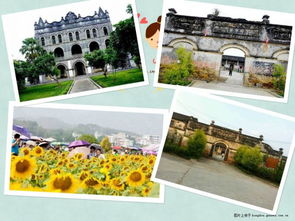 清新、自然，暢聽未來——武宣環豐生態園與九龍潭生態園的生態之旅