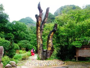 16周歲以下免票游世遺，668元泰寧雙動車2日游 大金湖、寨下大峽谷、九龍潭、尚書第全覽