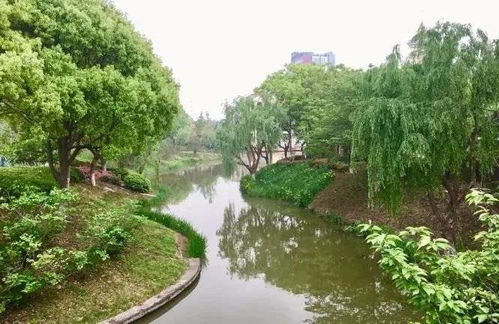 常熟奉賢手牽手，九龍潭生態園繪就跨區域文旅新篇章